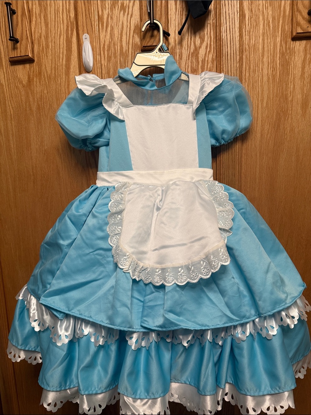 Classic Blue and White Alice in Wonderland Style Kids Costume Dress